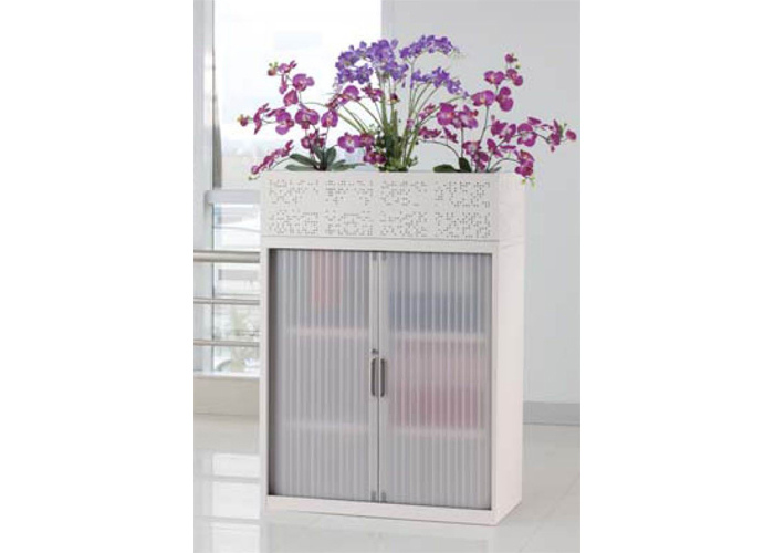 Steel Furniture|Roller Shutter Door Cabinet|Office Furniture|Tambour-door Filing|文件柜|卷门柜 CG-STS-F303